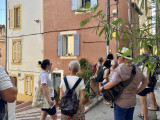 visite-guidee-ete-aubagne-au-fil-du-temps-2162-2169
