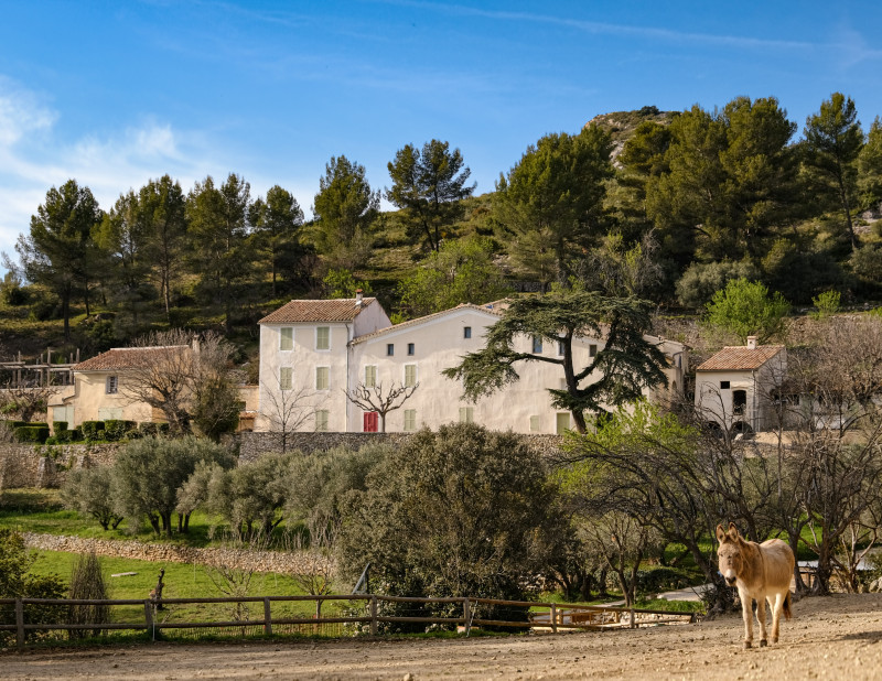 visite-pagnol-entre-nature-et-m-moire-al-oti-pays-d-aubagne-7-2556